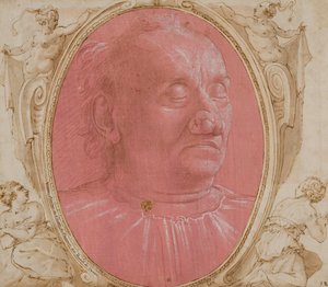 老人の頭 作： Domenico Ghirlandaio